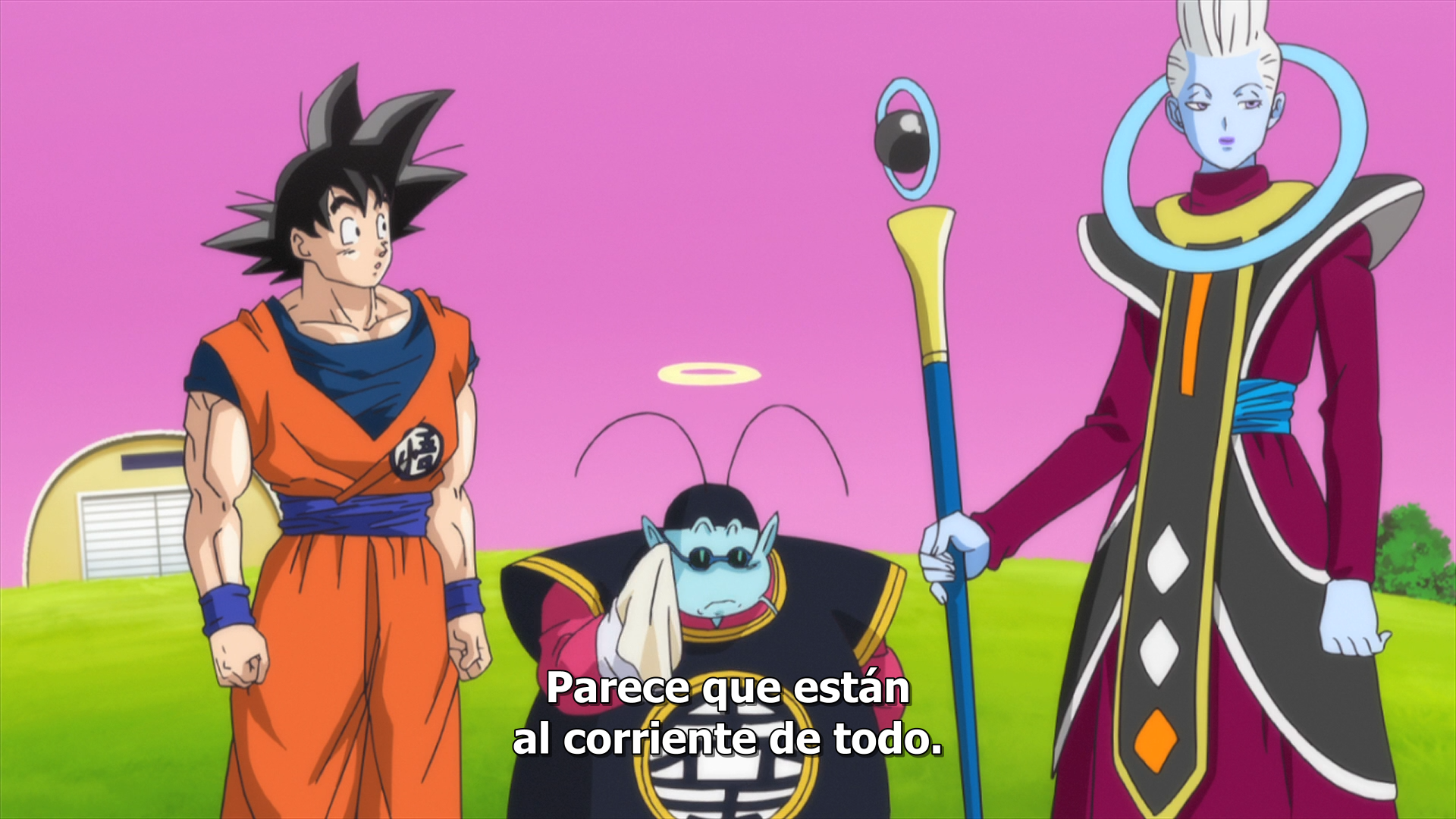 Dragon Ball Z: La Batalla de los Dioses (XzDres)